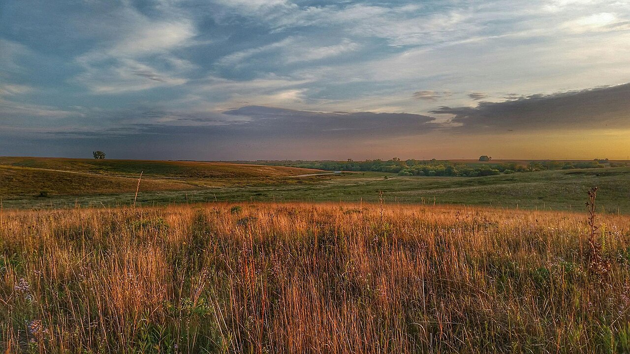 Iowa story