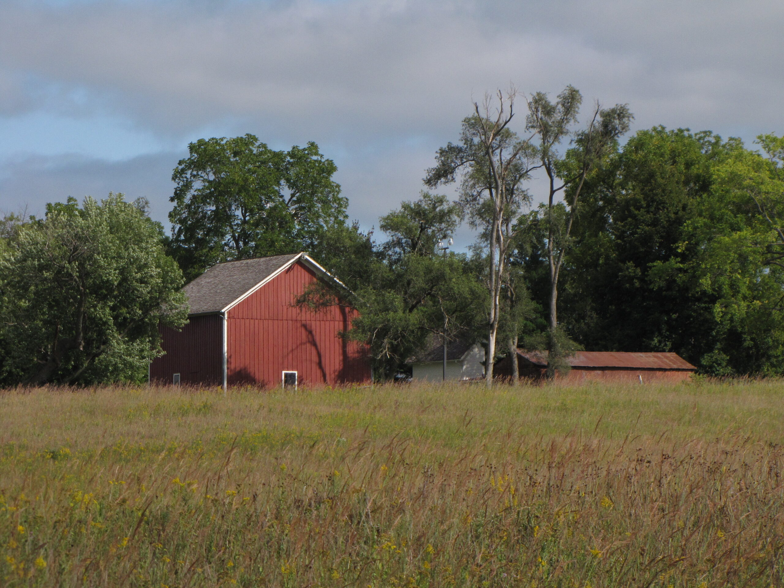 Washington landscape